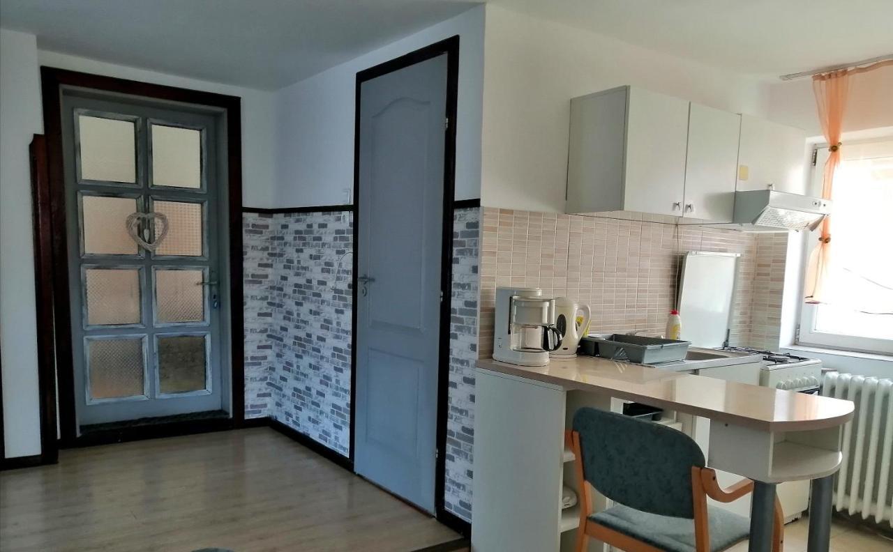 Villa Apartament Sarco Vatra Dornei Exterior foto