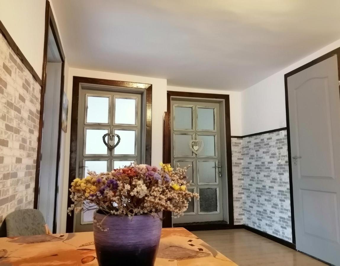 Villa Apartament Sarco Vatra Dornei Exterior foto
